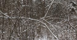 Lieliska Māja Apšuciemā