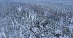Lieliska Māja Apšuciemā